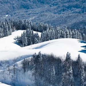 全免费一级毛片免费看
