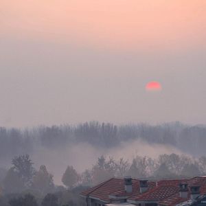 全免费一级毛片免费看
